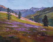 Magical Meadow, Chilcotin Mountains